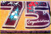novelty5
